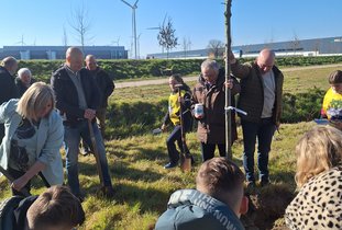 Kinderen zijn druk met het planten van een boom, links wethouder Kools.